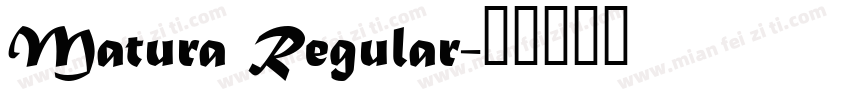 Matura Regular字体转换
